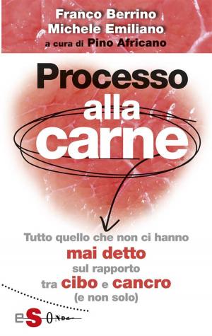 Cover of the book Processo alla carne by Leonardo Caffo