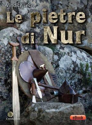 Cover of the book Le pietre di Nur by John  L. Lenburg