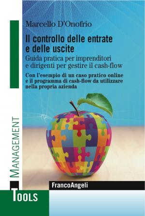 Cover of the book Il controllo delle entrate e delle uscite by Raffaella Faggioli, Lorenzo J. S.