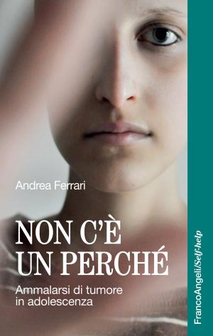 Cover of the book Non c'è un perché by Filippo Pergola