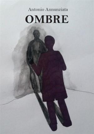 Book cover of Ombre