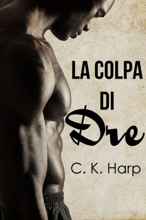 Cover of the book La colpa di Dre by Scarlet Blackwell