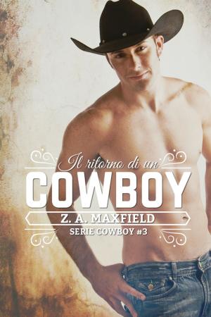 Cover of the book Il ritorno di un cowboy by Susan Moretto