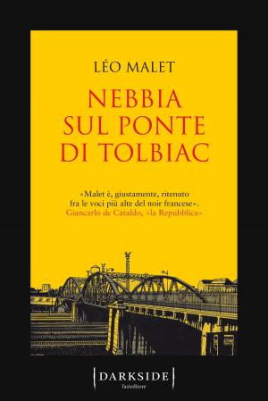Cover of the book Nebbia sul ponte di Tolbiac by Stefano Tura