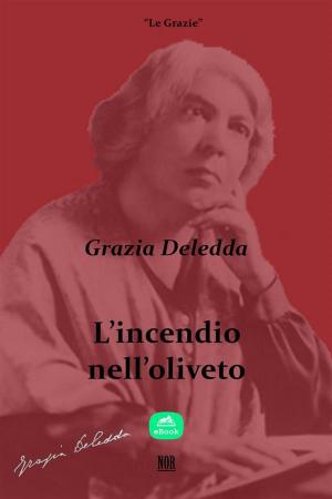 Cover of the book L'incendio nell'oliveto by Raffaele Melis Pilloni