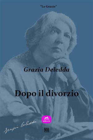 Cover of the book Dopo il divorzio by J. Kathleen Cheney