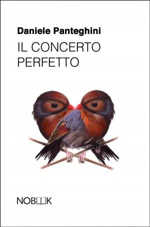 Cover of the book Il concerto perfetto by Betty Codeluppi