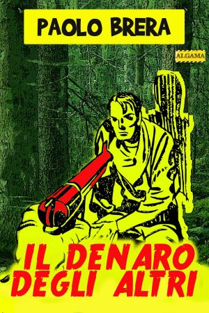 Cover of the book Il denaro degli altri by Enrico Solito