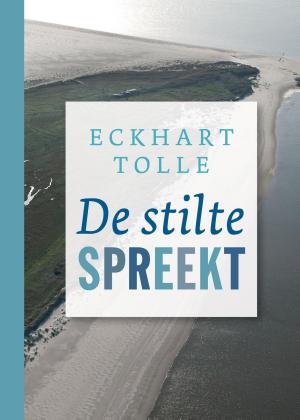 Cover of the book De stilte spreekt by Ina van der Beek