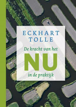 Cover of the book De kracht van het nu in de praktijk by Yvonne Sangen, Karin Tazelaar