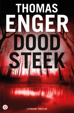 Cover of the book Doodsteek by Robbert Welagen