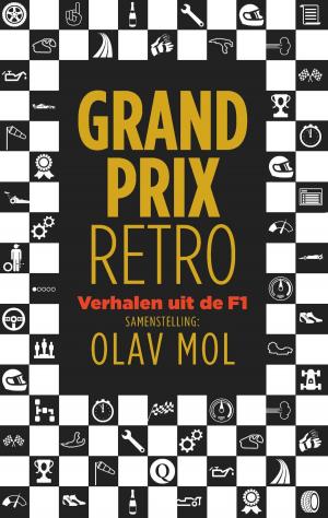 Cover of the book Grand Prix Retro by Brandon Sanderson