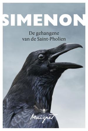 Cover of the book De gehangene van de Saint-Pholien by Georges Simenon