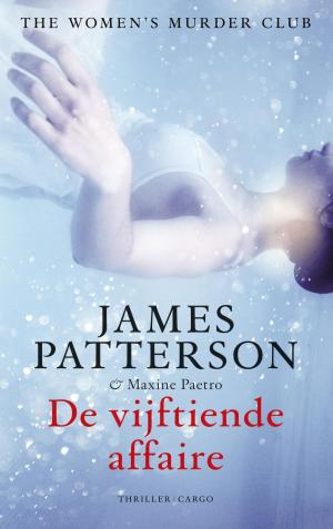 Cover of the book De vijftiende affaire by Georges Simenon