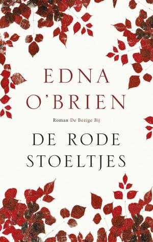 Cover of the book De rode stoeltjes by Philipp Blom