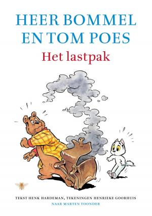 Cover of the book Het lastpak by Daan Heerma van Voss