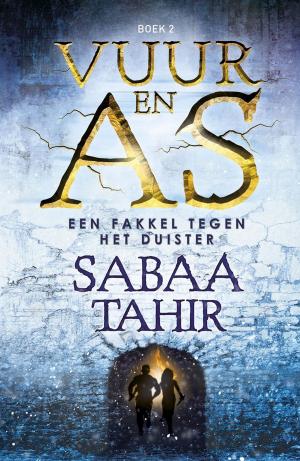 Cover of the book Een fakkel tegen het duister by Adrian Stone