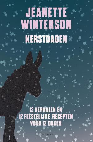 Cover of the book Kerstdagen by Ben Lerner
