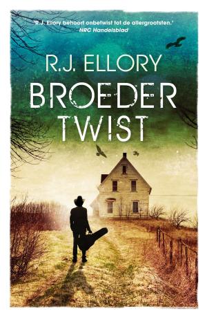 Cover of the book Broedertwist by Lincoln Peirce