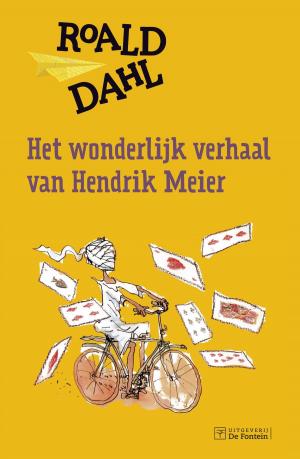 Book cover of Het wonderlijk verhaal van Hendrik Meier
