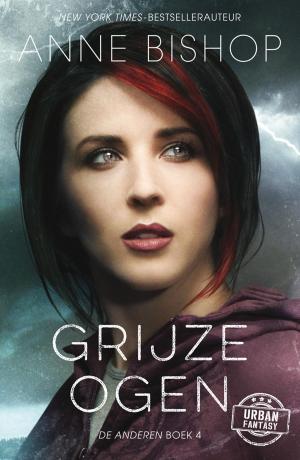 Cover of the book Grijze ogen by Greetje van den Berg
