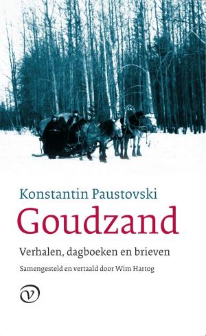 Cover of the book Goudzand by Sherwood Anderson, Nele Ysebaert