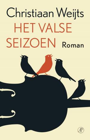 Cover of the book Het valse seizoen by Diederik Burgersdijk