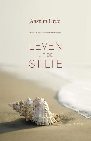 Cover of the book Leven uit de stilte by Minke Weggemans