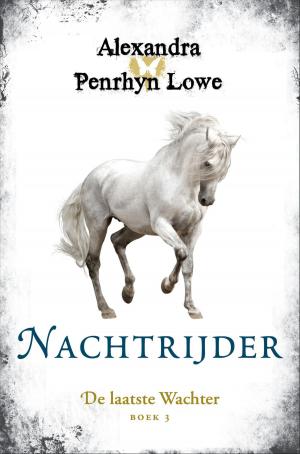 Cover of the book Nachtrijder by Mats Strandberg, Sara B. Elfgren