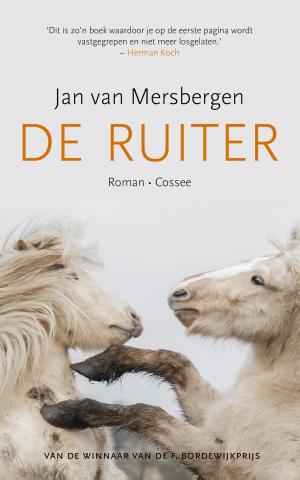 Cover of the book De ruiter by Dola de Jong