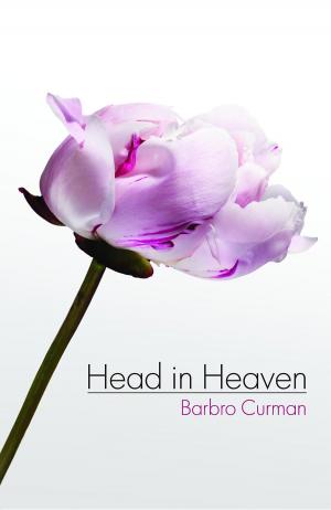 Cover of the book Head in Heaven by Deiadora Blanche