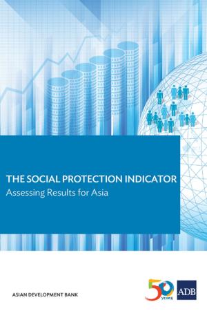 Cover of the book The Social Protection Indicator by Michael Heppell