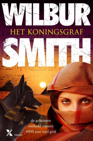 Cover of the book Het koningsgraf by Irene Cao