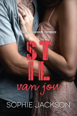 Cover of the book Stil van jou by Hetty Luiten