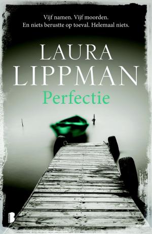 Cover of the book Perfectie by Marjan van den Berg