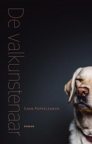 Cover of the book De valkunstenaar by Doeke Sijens, Coen Peppelenbos