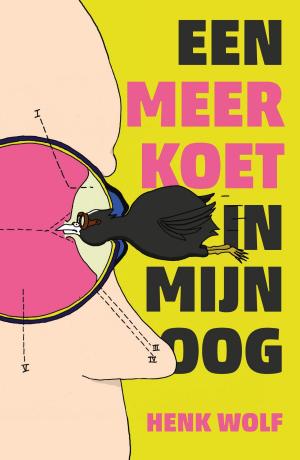 Cover of the book Een meerkoet in mijn oog by Coen Peppelenbos