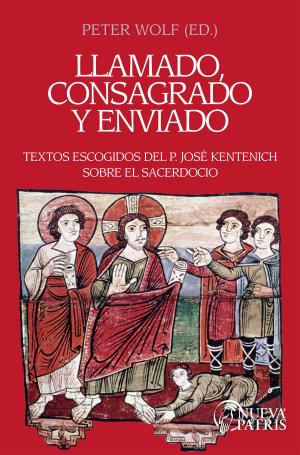 bigCover of the book Llamado, consagrado y enviado by 