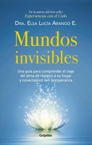 Cover of the book Mundos invisibles by Gabriel Vallejo Lopez