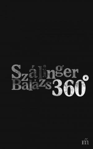 Cover of the book 360° by Szálinger Balázs