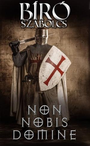 Cover of the book Non nobis Domine by Cecelia Ahern