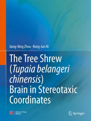 Book cover of The Tree Shrew (Tupaia belangeri chinensis) Brain in Stereotaxic Coordinates