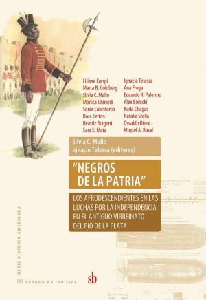 Cover of the book “Negros de la patria" by Enrique Cambón