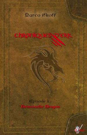 Cover of the book Chroniques d'Erk, Épisode 1 by Valentine Dewer, Brice Triquet, Célia Deiana, Vincent Gaufreteau, Grégory Covin, Damien Carrière, Céline Bénini, K.Sanghil, K. Sangil