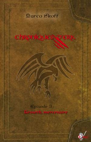 Cover of the book Chroniques d'Erk, Épisode 3 by Audrey Singh, Simon Bernard, A.R Morency, Aurore Chatras, Grégory Covin, Nicolas Sick