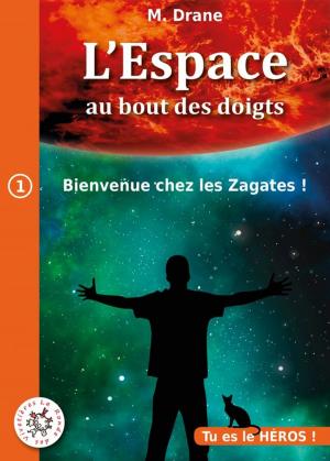 Cover of the book LIVRE DONT VOUS ÊTES LE HÉROS : Bienvenue chez les Zagates ! by Cindy Christmas