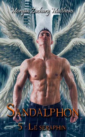 Book cover of Sandalphon Episode 5 Le séraphin