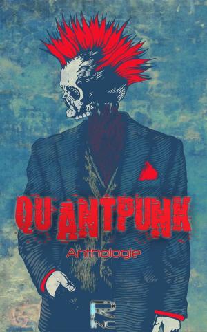 Book cover of Quantpunk