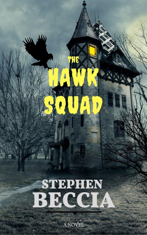Cover of the book The Hawk Squad by Stephen Beccia, Sharkman Publishing