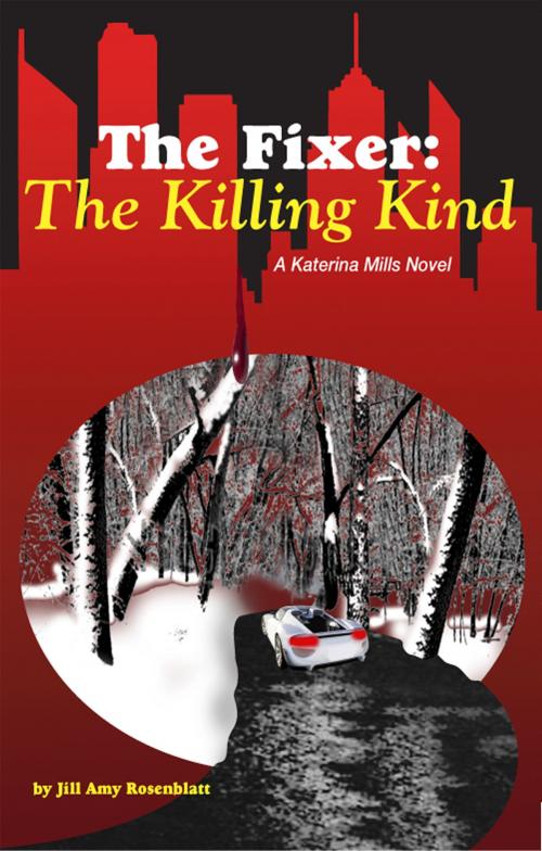 Cover of the book The Fixer: The Killing Kind by Jill Amy Rosenblatt, Jill Amy Rosenblatt